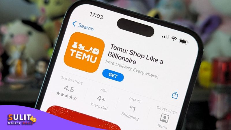 A photo of the Temu online shopping app on an iPhone.